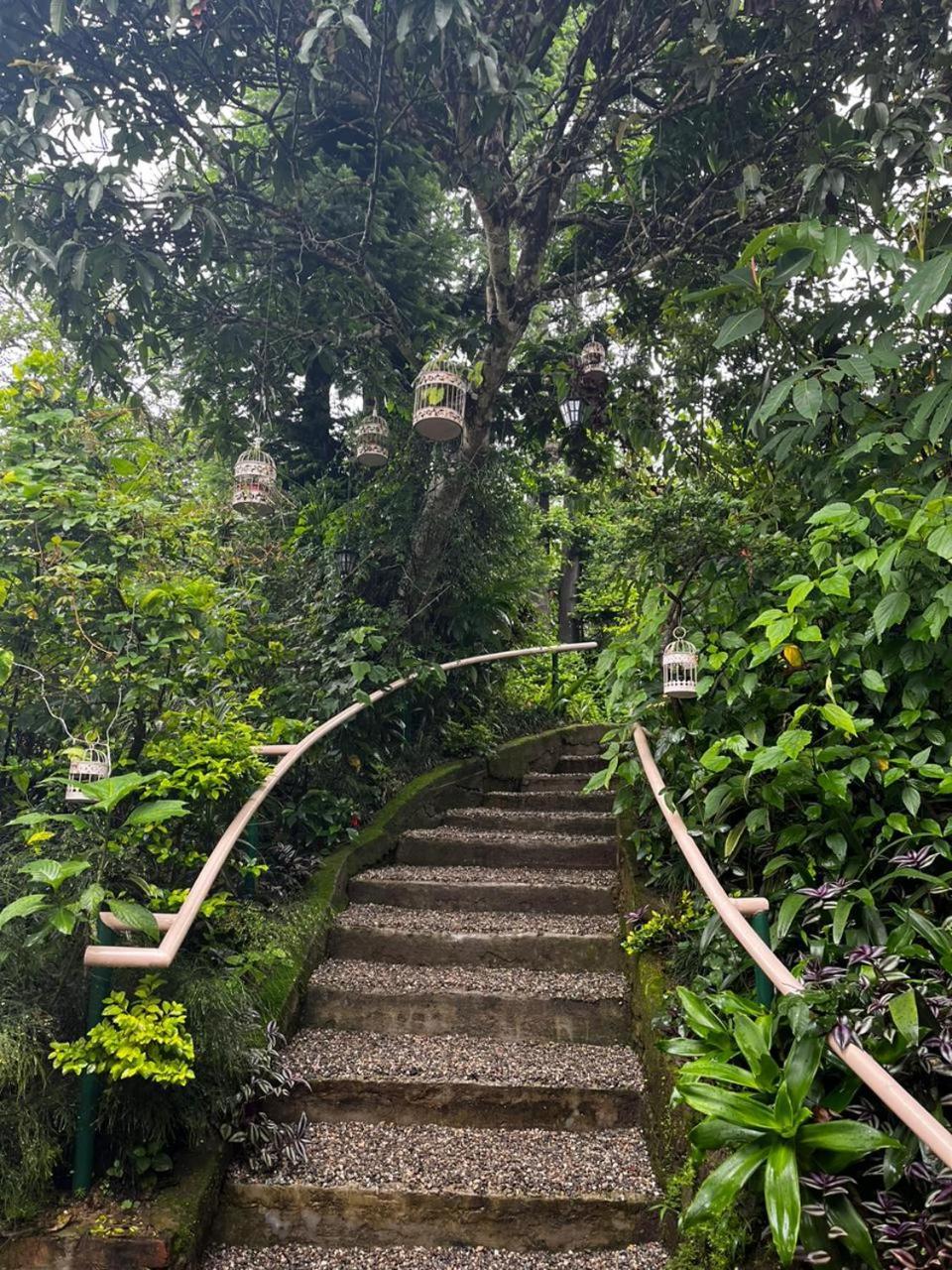 Aam'S Courtyard Hotel Kalimpong Exterior foto